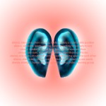 Can you listen like a beginner?